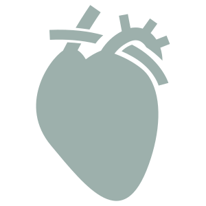Cardiovascular